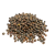 Nasiona-Gomfolobium-Szorstkiego-Gompholobium-Scabrum (5).png