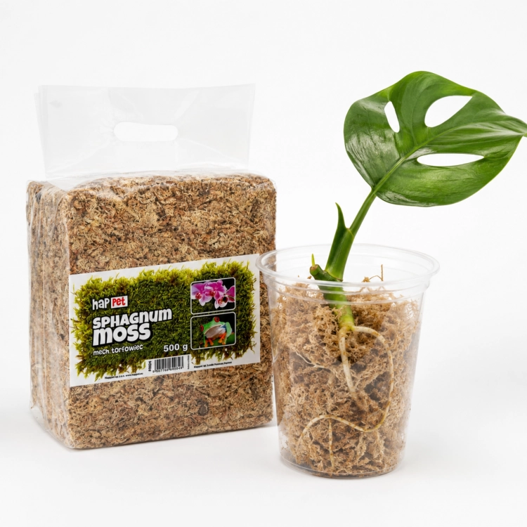 Mech Torfowiec Sphagnum Moss Podłoże do Roślin (1).png