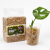 Mech Torfowiec Sphagnum Moss Podłoże do Roślin (1).png