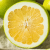 Nasiona-Pomelo-Citrus-Maxima.png