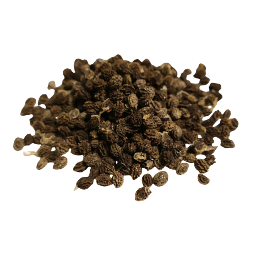 Nasiona-Papai–Carica-Papaya.png