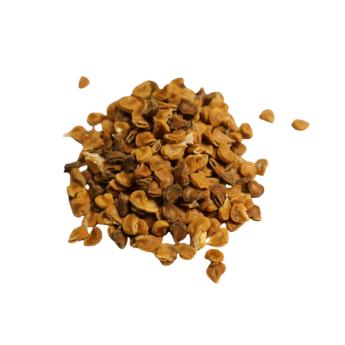 Nasiona-Bielunia-Golden-Queen-Datura-Golden-Queen (4).png