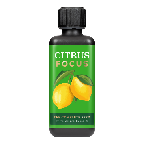 citrus-focus-300ml.png
