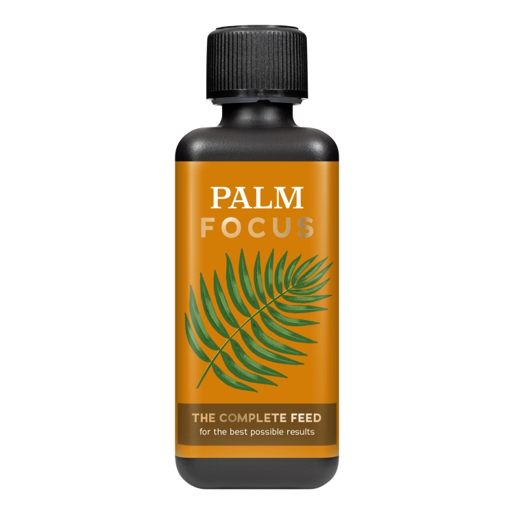 Palm Focus 300ml (1).png