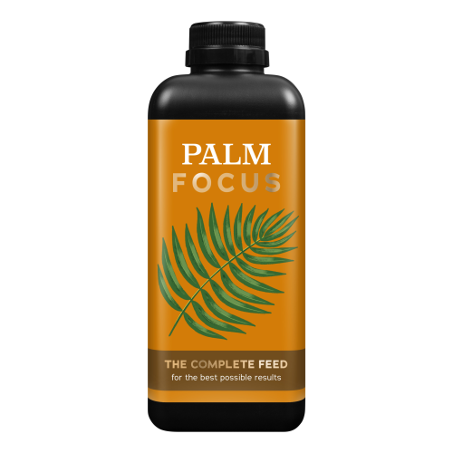 Palm Focus 1L.png