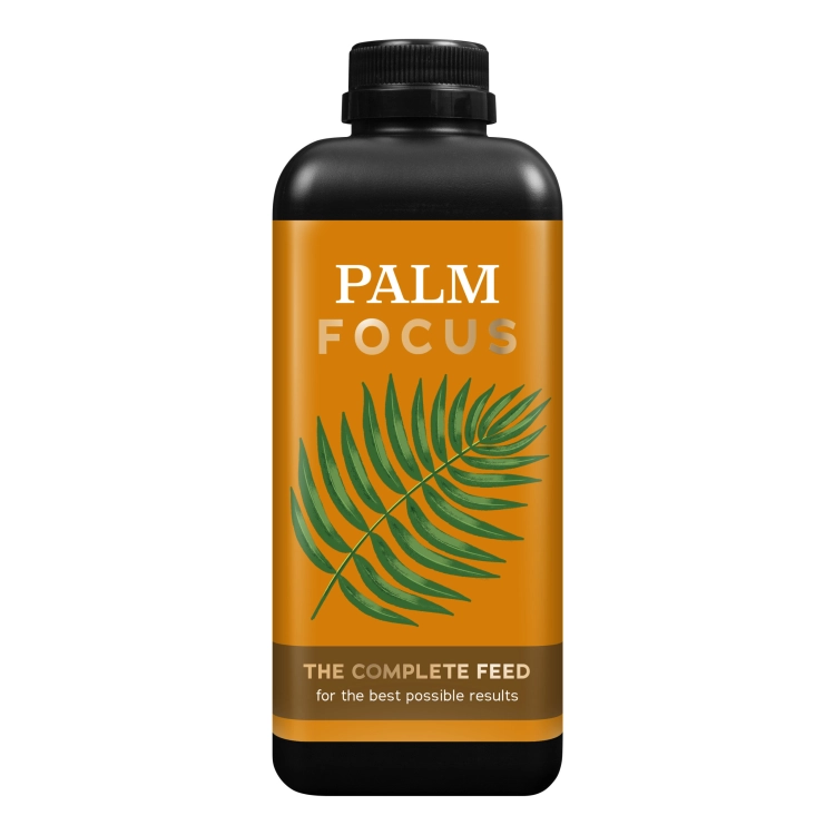 Palm Focus 1L.png