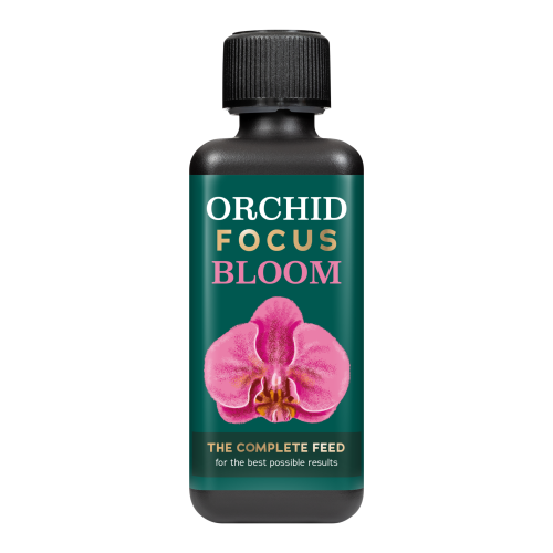 Orchid Focus bloom 300ml (1).png
