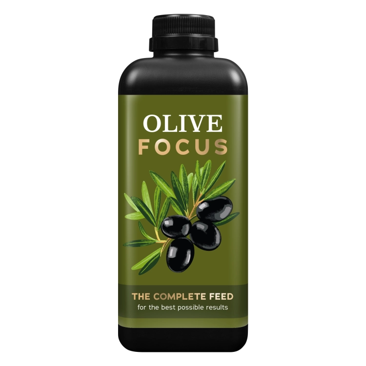 Olive Focus 1l (1).png