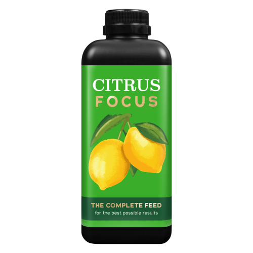 Citrus Focus 1L.png