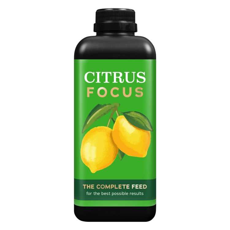 Citrus Focus 1L.png