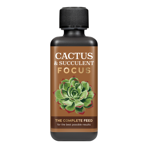 Cactus Focus 300ml.png