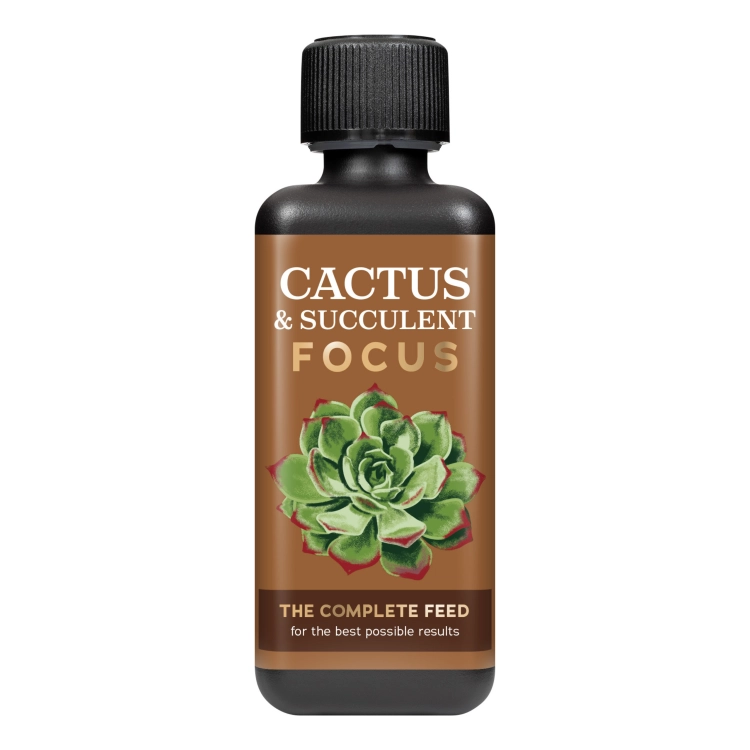 Cactus Focus 300ml.png