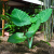 Nasiona-Kolokazji-Olbrzymiej–Leucocasia-Gigantea (4).png