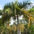 IMG_6297.jpeg