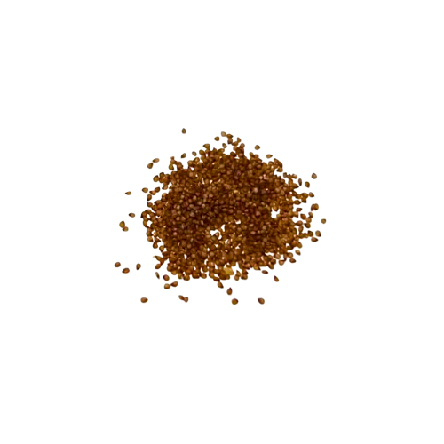 Nasiona-Drosantemum-Szczeciniastego–Drosanthemum-Hispidum.png