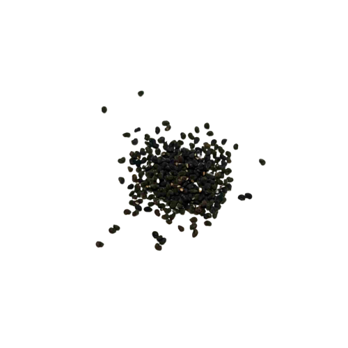 Nasiona-Kaktusa-Chichipe–Polaskia-Chichipe (4).png