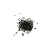 Nasiona-Kaktusa-Chichipe–Polaskia-Chichipe (4).png