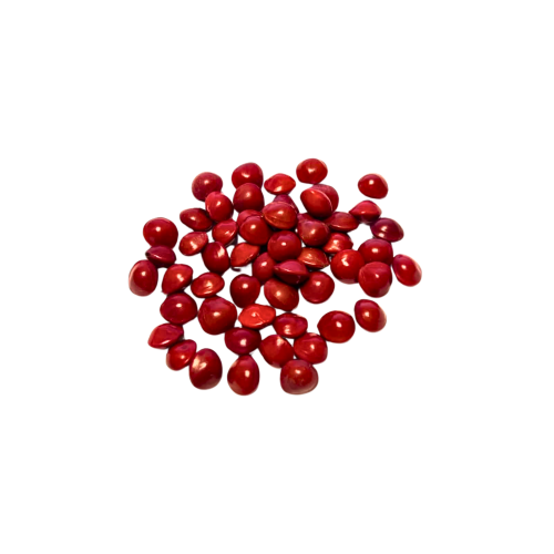 Nasiona-Gruczołkowca-Pawiego–Adenanthera-Pavonina (4).png