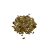 Nasiona-Szeflery-Puecklera–Schefflera-Pueckleri (5).png