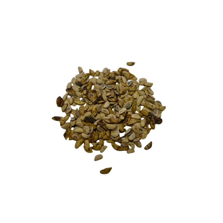 Nasiona-Szeflery-Puecklera–Schefflera-Pueckleri (5).png