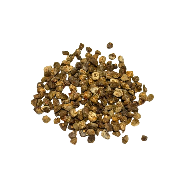 Nasiona-Bananowca-Zebrina–Musa-acuminata-var.-sumatrana (4).png