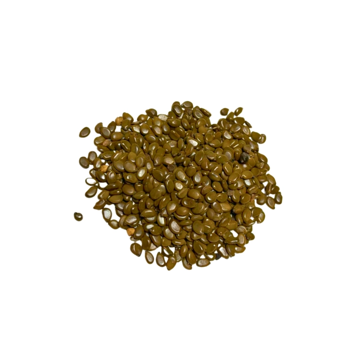 Nasiona-Senny-Argentyńskiej–Senna-Corymbosa (3).png