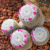 Nasiona-Kaktusa-Mammillaria-Albilanata (1).png