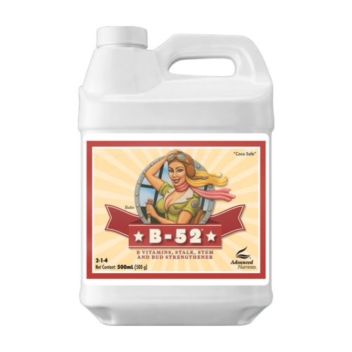 ms-1143-1.jpg