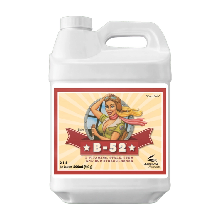 ms-1143-1.jpg