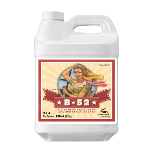 ms-1145-1.jpg