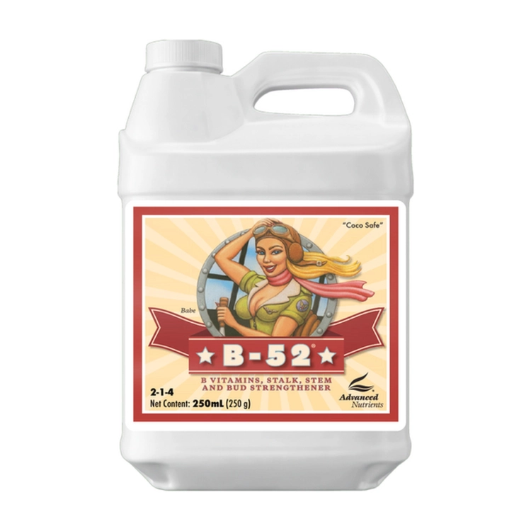 ms-1145-1.jpg