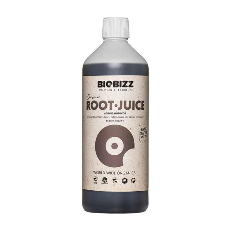 ms-1167-1.jpg