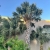 IMG_6584.jpeg