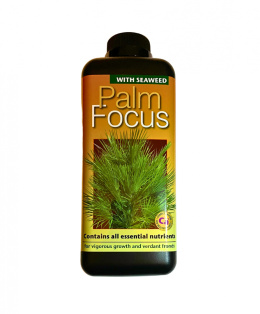 Palm Focus 1L