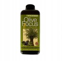 Olive Focus- nawóz do drzewek oliwnych 1L