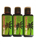Palm Booster 300ml